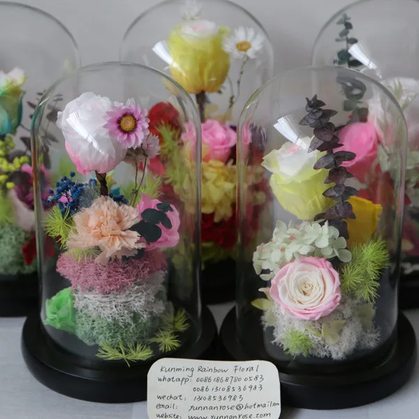 Kept More Than 3 Years Rose Preservation in Water Globe for Gifts