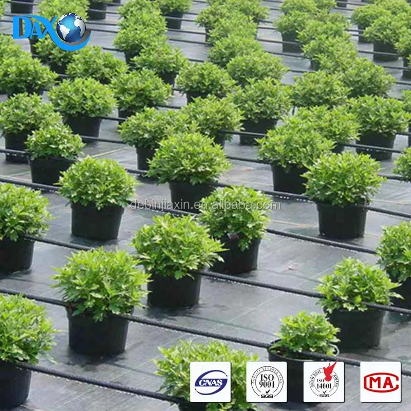 
polypropylene ( pp) slit film woven Weed Control Ground Cover Membrane Landscape Fabric 