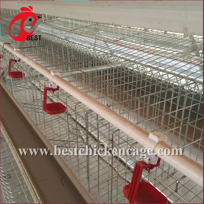 Brand new manufactures bird cages galvanization hot galvanized chicken cage for wholesales