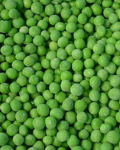 
Low Price Frozen Green Peas in China 