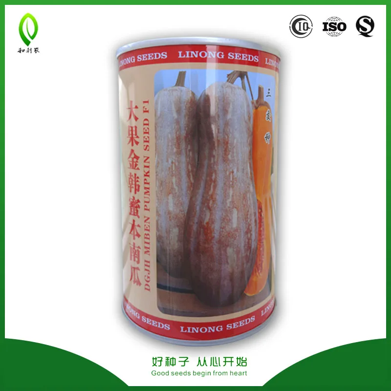 
Good fruiting honey pumpkin seeds price 