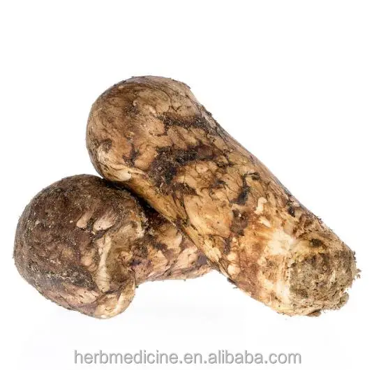 
Dried fungus Trichotoma matsutake sing organic mushrooms for food 