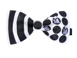 Fashionable Carton Character Print Boys Self Tie Bow Ties