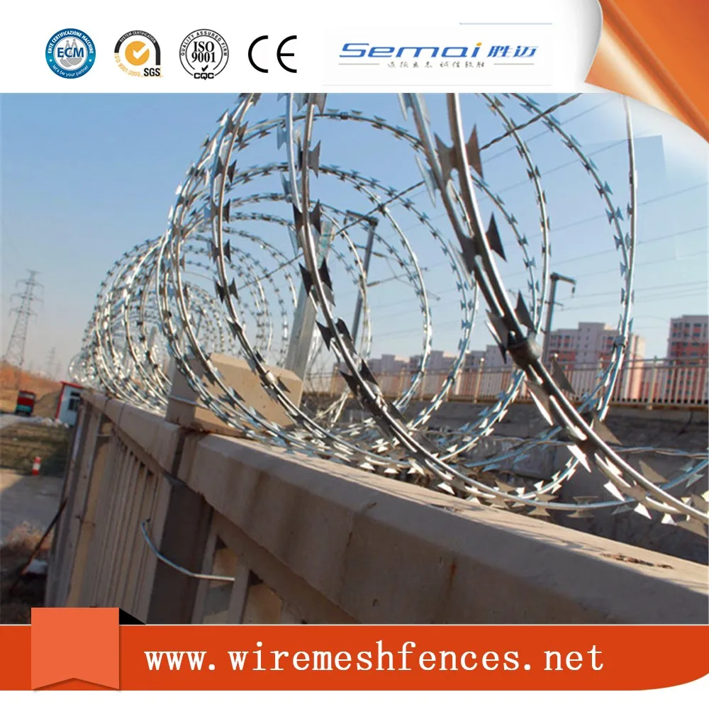 
cheap hot sale barbed wire razor wire mesh wall spike(factory) 