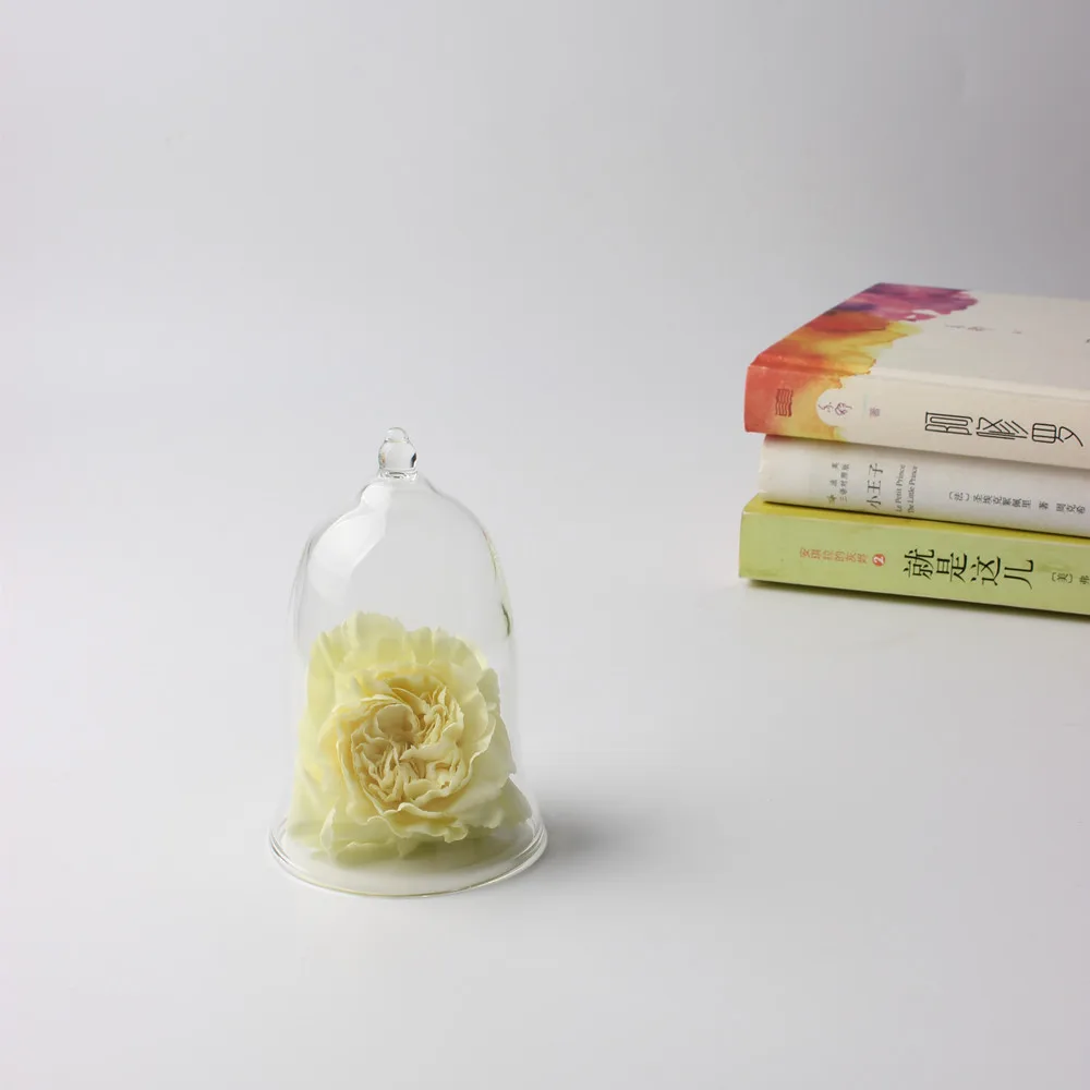 2018 High Quality Glass DOME