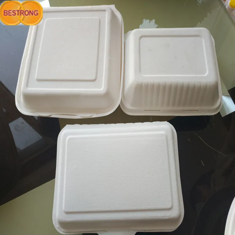 Environmental Bagasse Pulp for Tableware With Factory Price