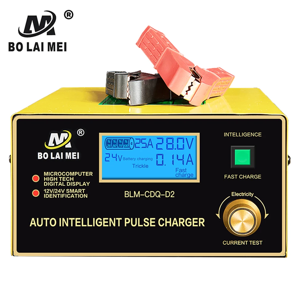 Smart 12v 220v car battery charger dry battery charger for programming