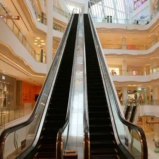 Fuji ZY Escalator passenger sidewalk use Japan technology , escalator manufacture price .