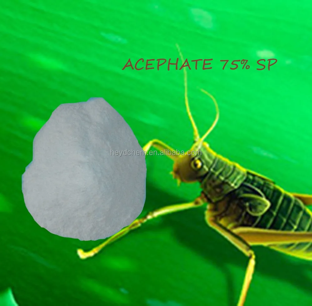 CAS: 30560-19-1 AGROCHEMICAL PESTICIDE ACEPHATE 95% TC