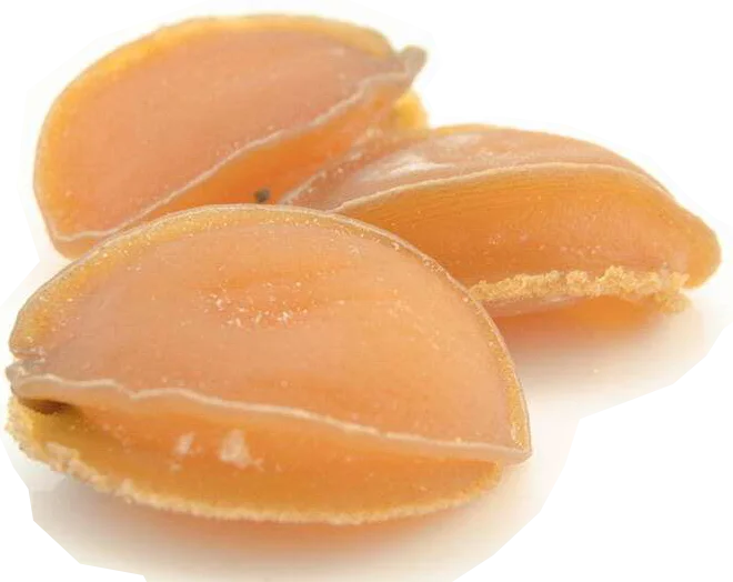 Dried Sea Abalone Seafood Factory Price