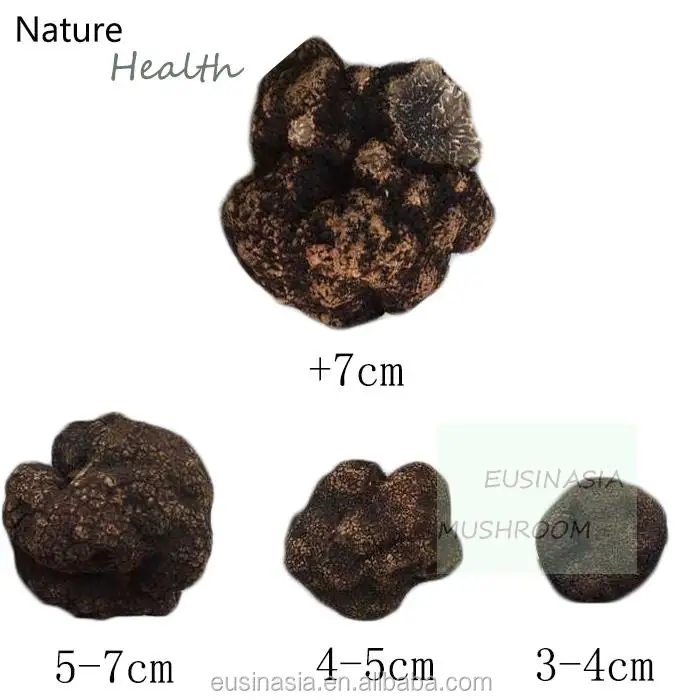 
IQF wild black truffle hot sell 