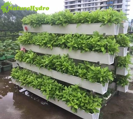 PVC Hydroponic plant gutter for strawberry growing
