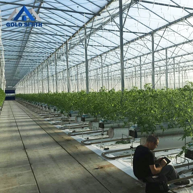 China Greenhouse Supplier Gold Smith Agricultural Glass Greenhouse
