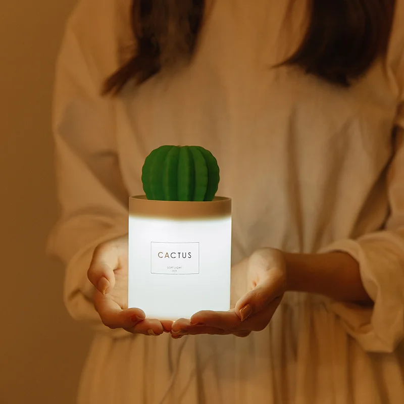 New usb mini portable air cactus humidifier for home or office