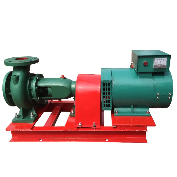 Radial Flow High Water Head 1kw Hydro Generator Mini Water Turbine