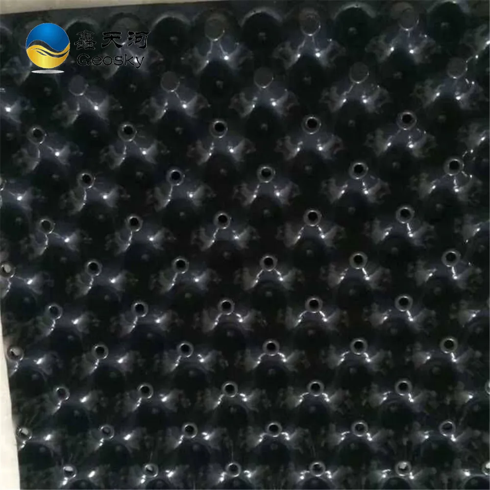 Plastic Dimpled Foundation Membrane/ Dimple Waterproof HDPE Drain Board