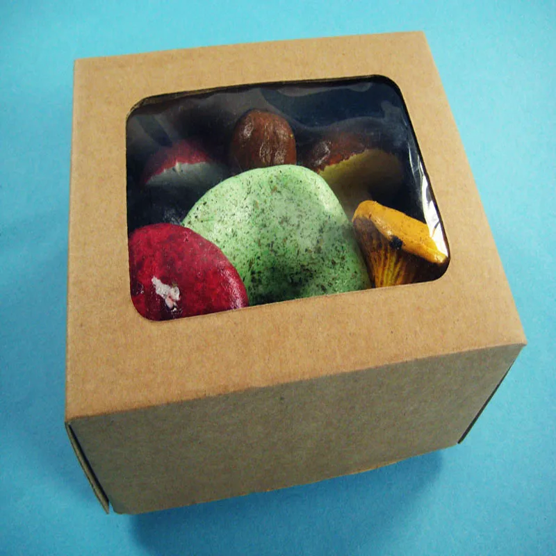 
High Quality Low Price Mushroom Models Set 