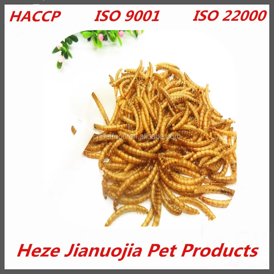 Tenebrio Molitors Mealworms Wholesale Edible Dried Insects