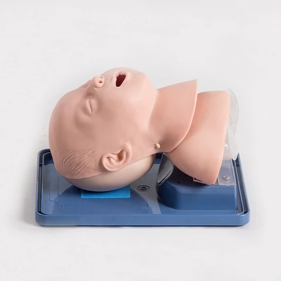 GD/J10 General Doctor Infant Airway Intubation Management Model