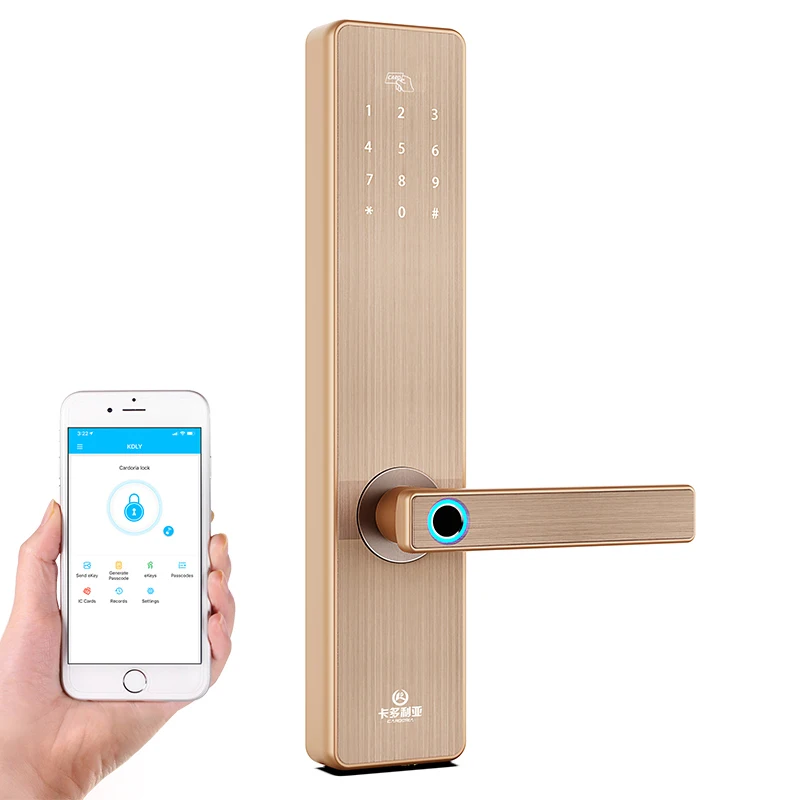 BT Wifi Smart Door Lock Electronic Digital Code RFID Card TTLock App Hotel Door Lock Security System