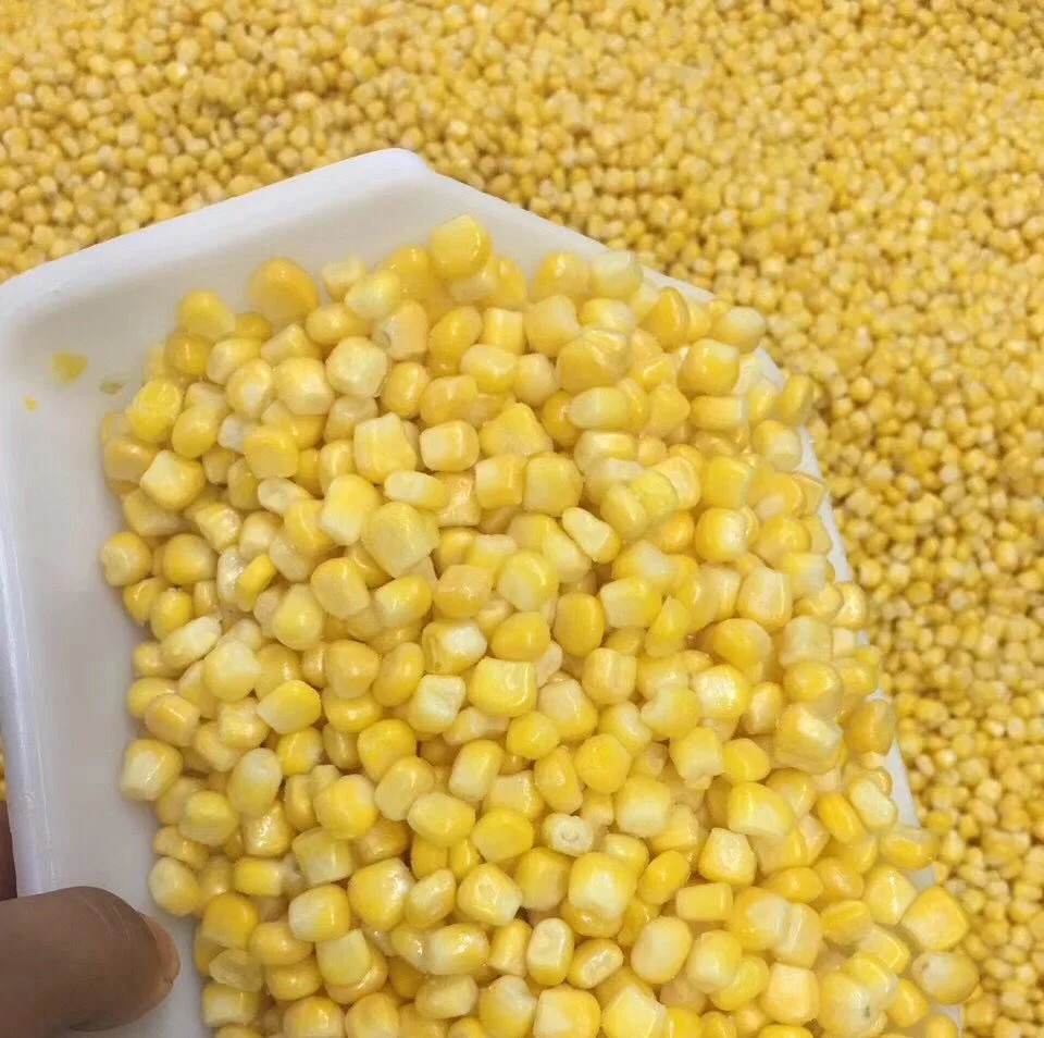 2018best price hot selling iqf frozen corn on cob