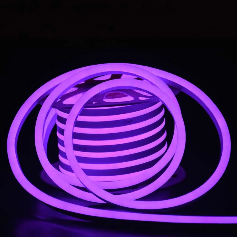 For Diy Neon Sign Decor Light Neonflex Pink Orange Blue 8x16mm PVC Led Neon Flex Tube Light (1600247868918)