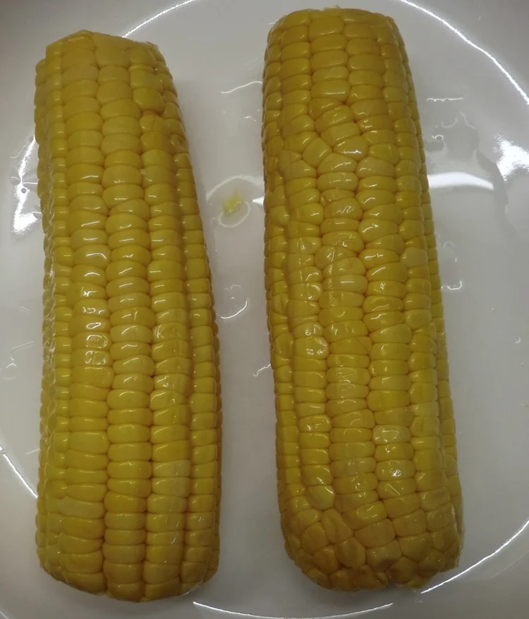 Mikado brand Chinese sweet corn cob in vacuum pack