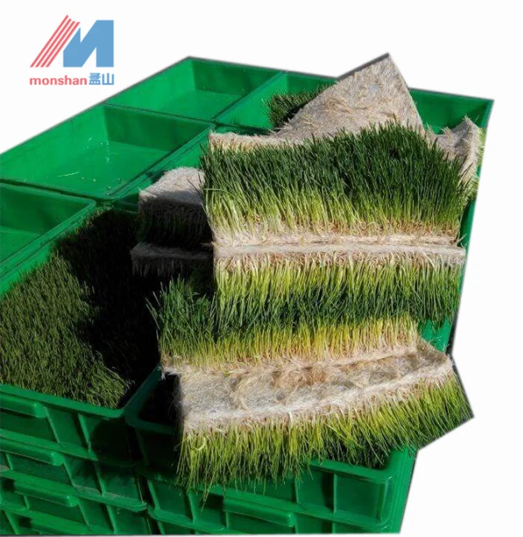 Container Farm Hydroponic Forage Sprout Chamber For Cow