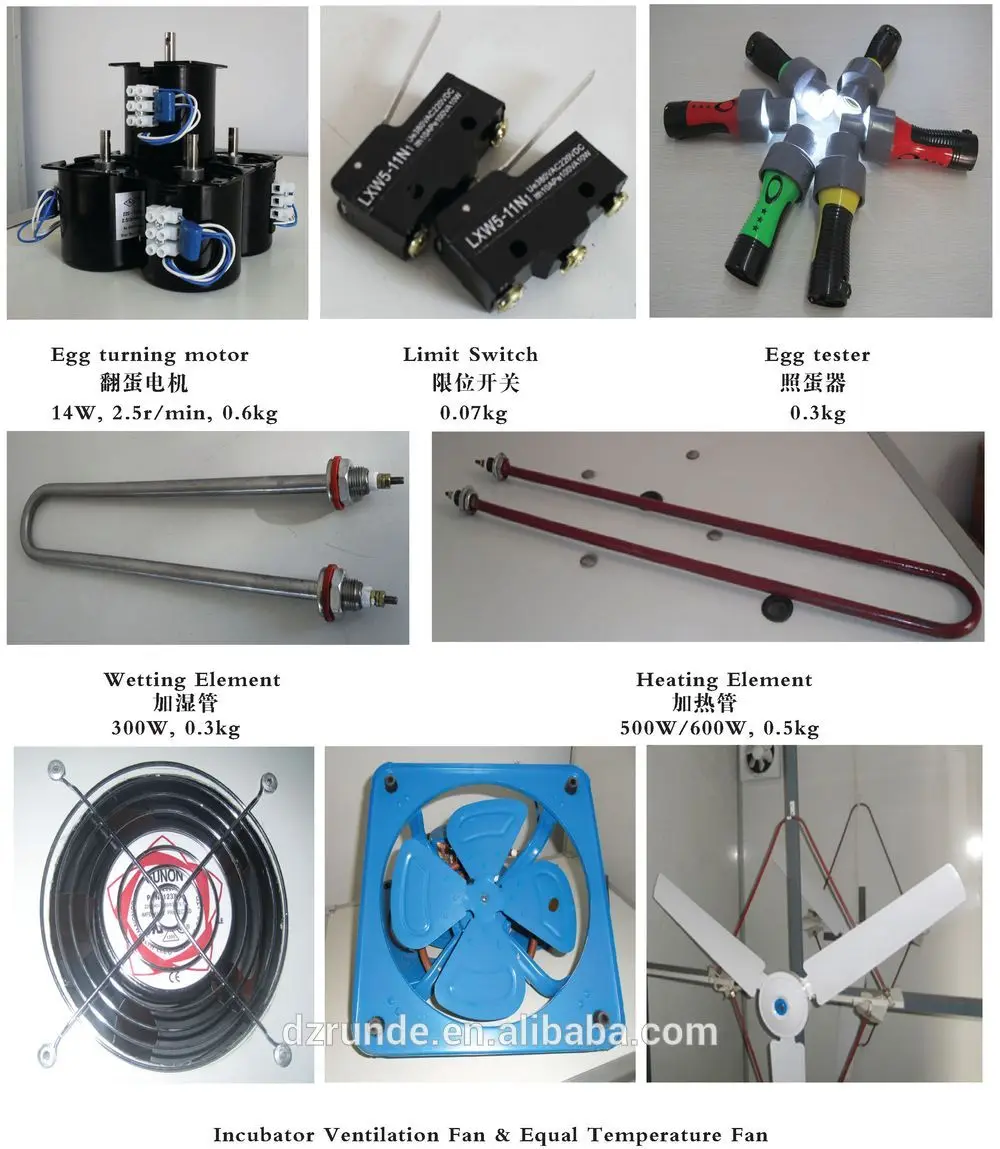 Egg turning motor system for egg incubator
