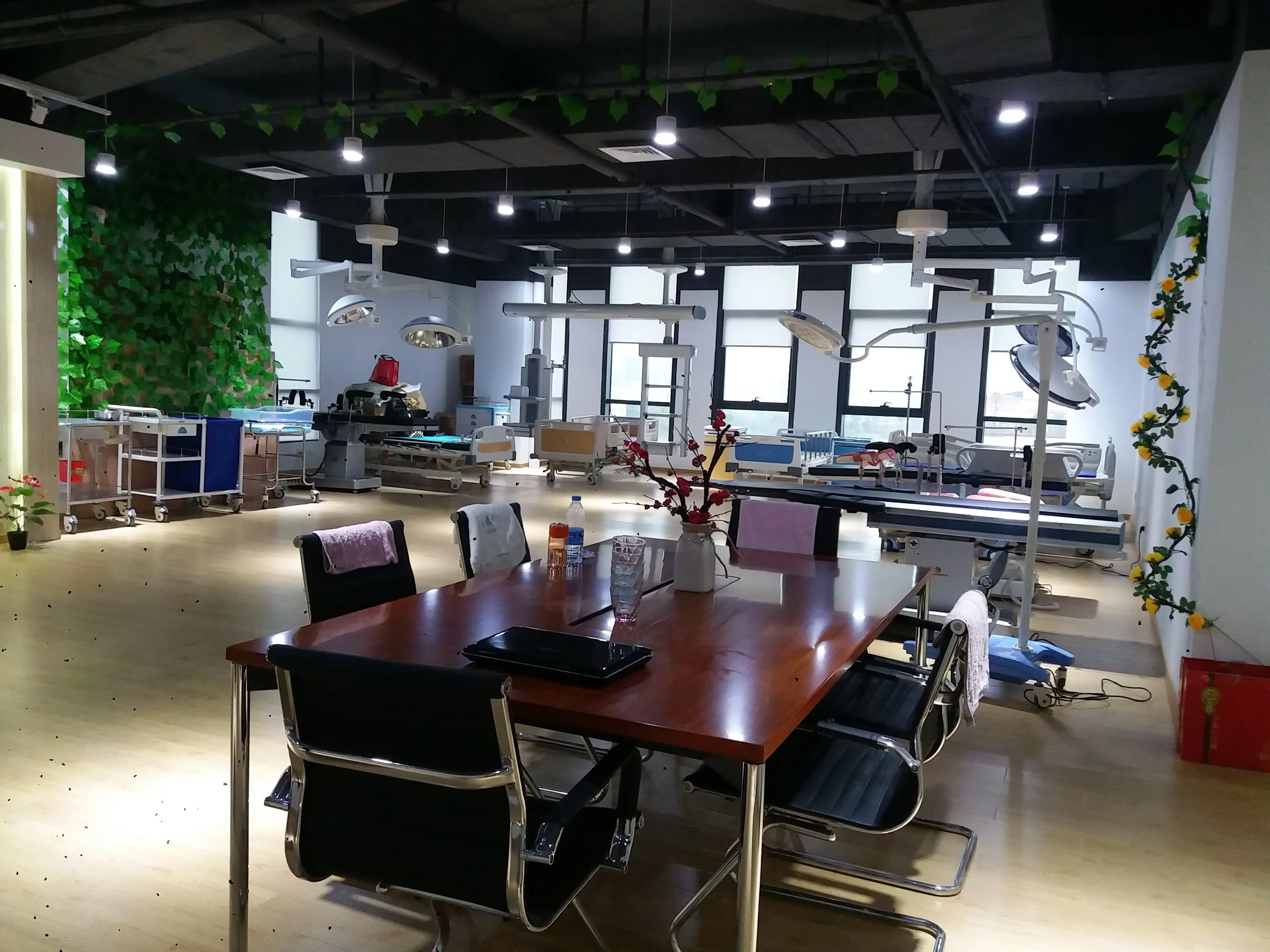 Hospital shadowless Portable Mobile Floor Standing surgical operating lamp