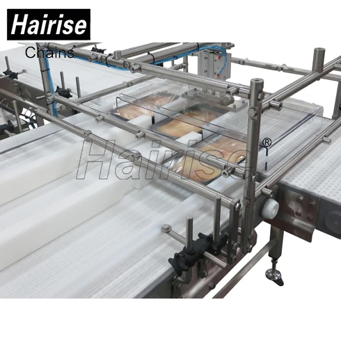 Plastic Chain Conveyor Plate /Conveyor transmission chain