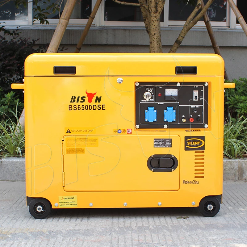 BISON(CHINA) BS7500DSEC 6KW 6KVA Copper Wire New Type Actual Output Power Strong Silent 220V King Max Diesel Generators