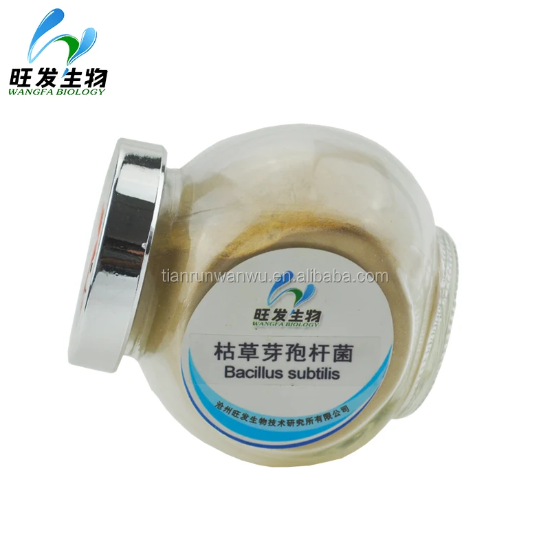 
Agricultural planting microbial inoculum Bacillus subtilis 