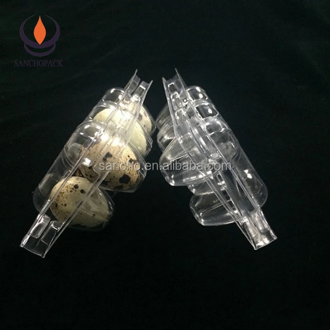 
Plastic quail egg packaging tray malaysia 