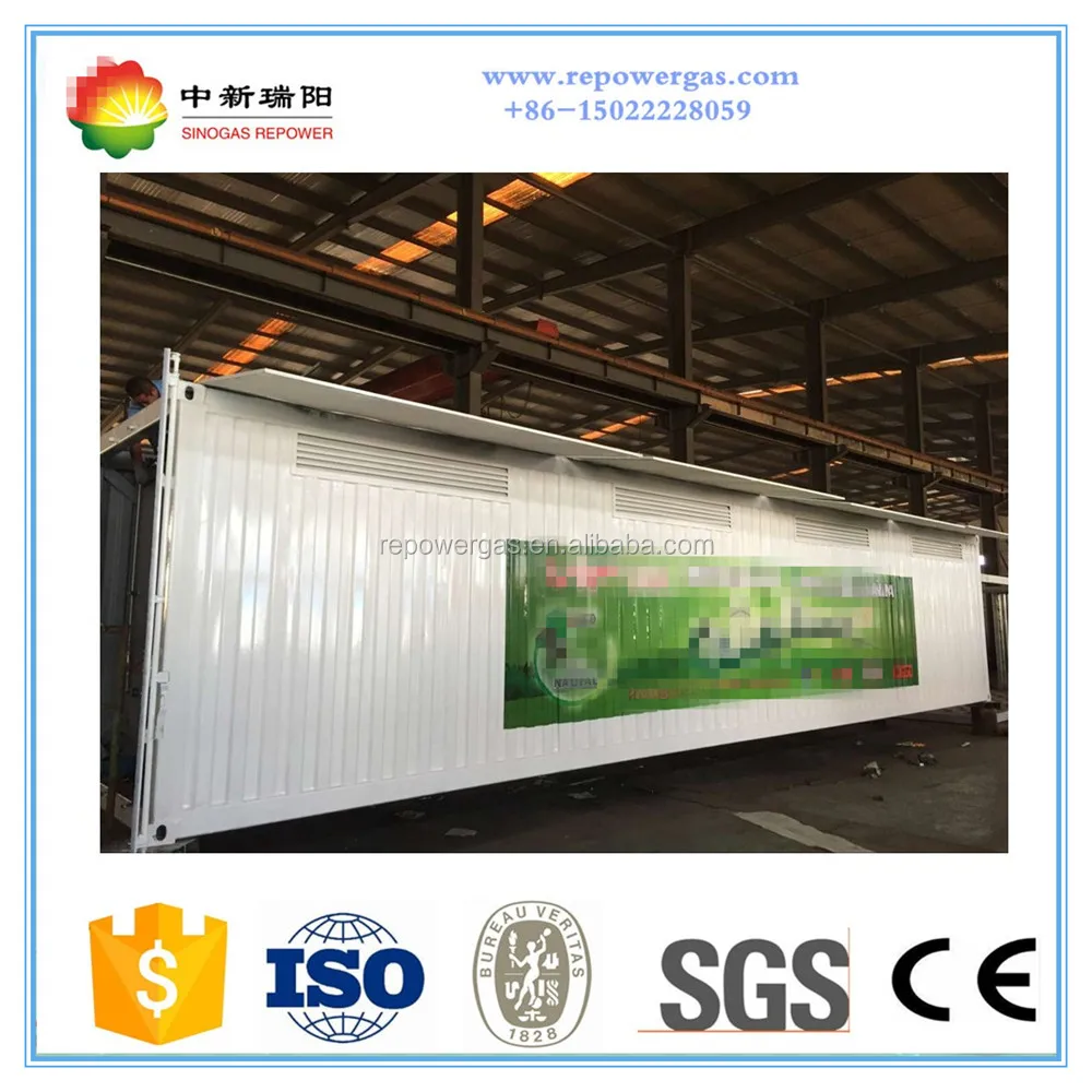 
30 ft CNG Transportation Cylinder Cascade Skid Container 