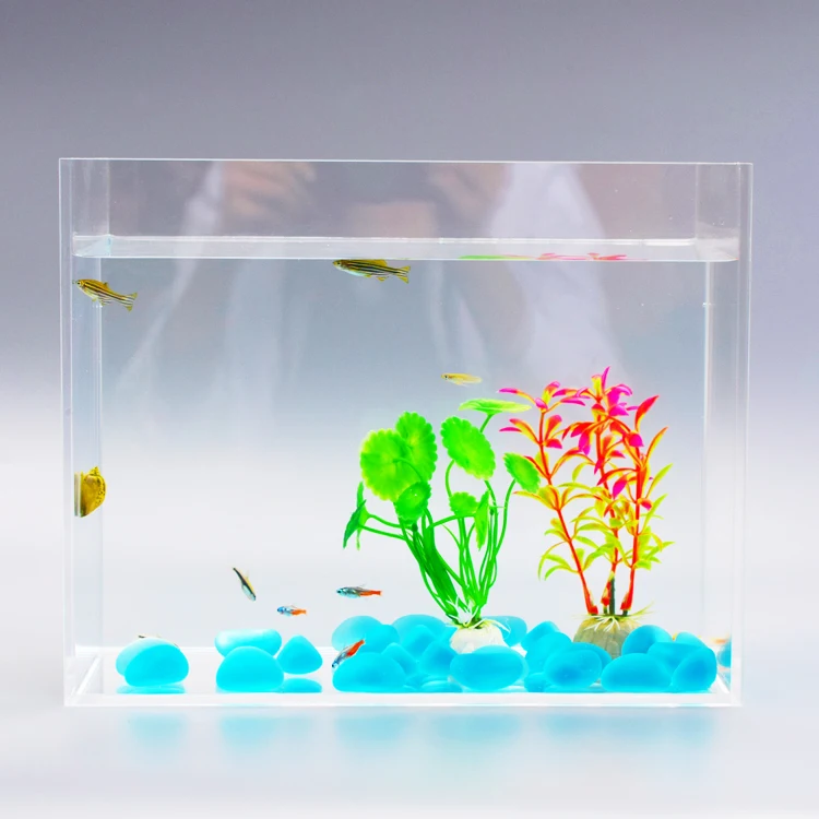 
personalized acrylic mini fish tank 5 sides clear transparent plexi water containers 