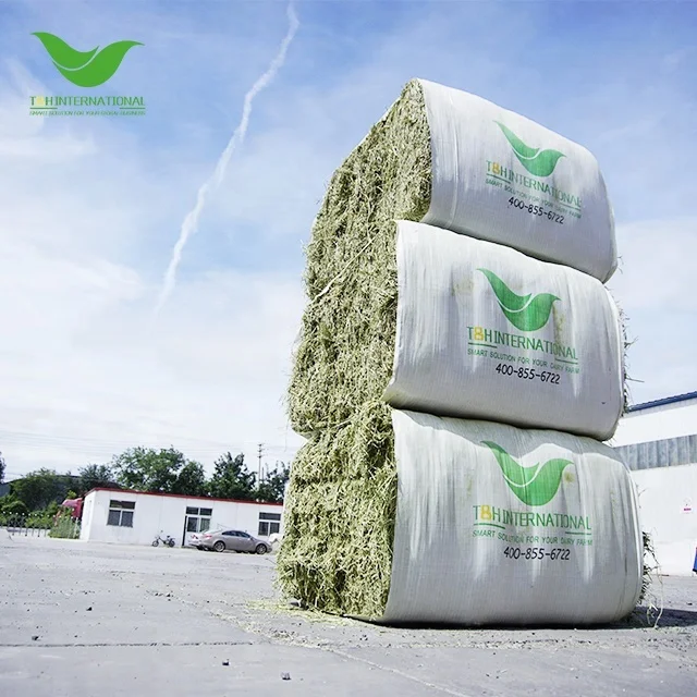 T&H Top Quality Alfalfa Hay Cubes Lucerne Hay Alfalfa Meal Bales for Sale Animal Feeding