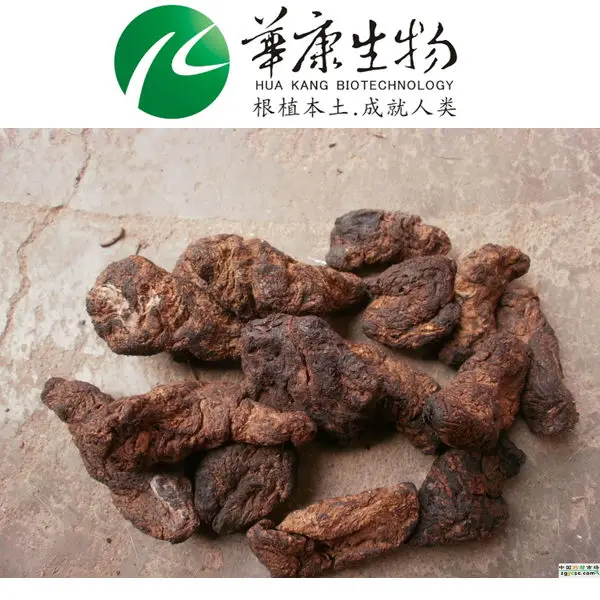 100% природа rehmannia экстракт