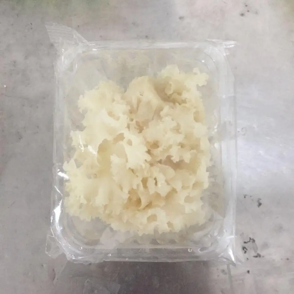 Detan High Quality Dried Sparassis Crispa Mushroom