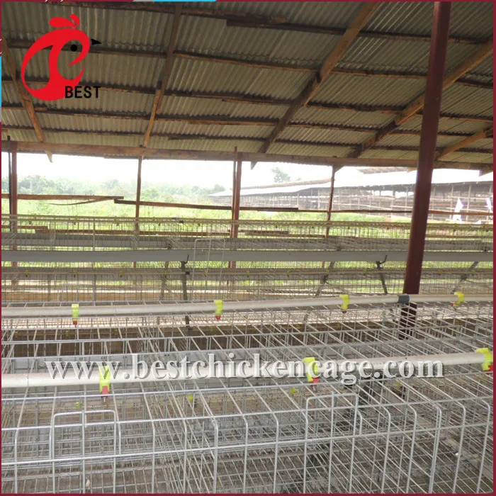 Direct Factory Metal Chicken Cage for Sale for Wholesales