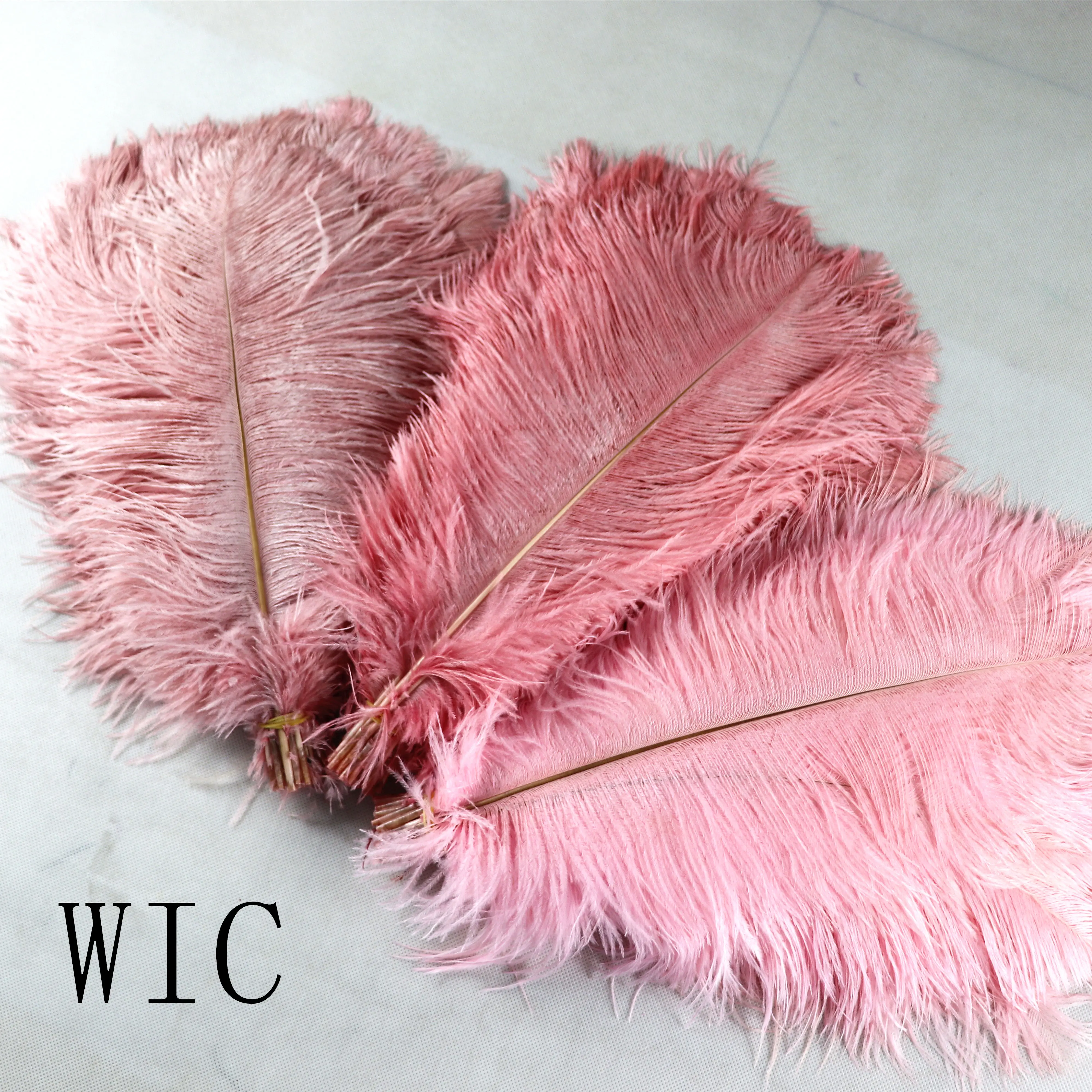 Carnival Costume Decoration 15-45cm Dyed Colorful Ostrich Feathers for Festival Samba Garments