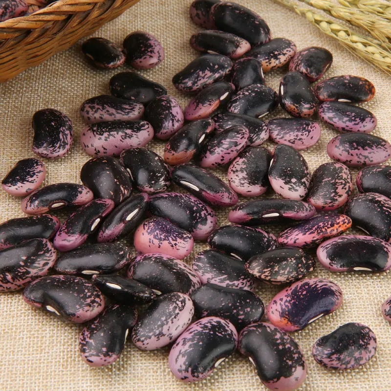 Organic large black speckled kidney bean for sale