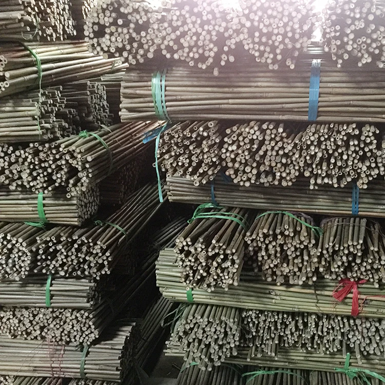 Wholesale China High Quality  Raw  Bamboo Pole Cane Agriculture For Flag