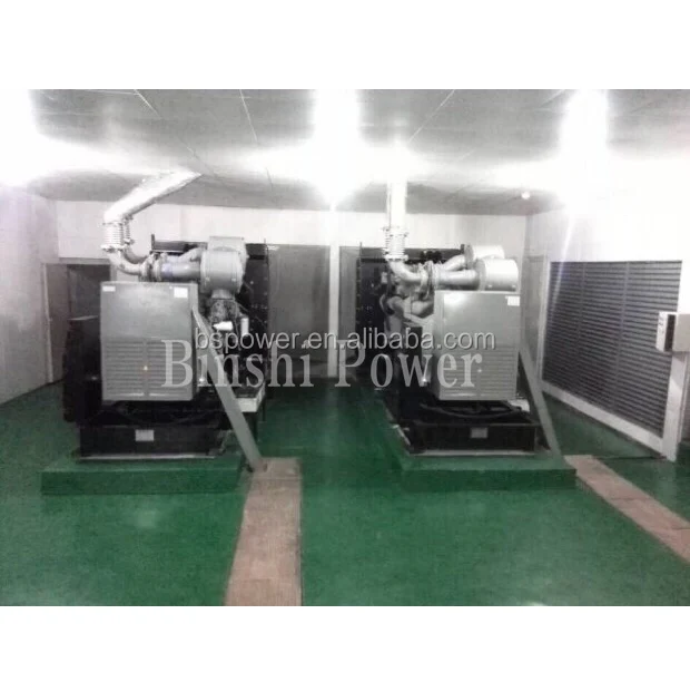 1 мВт электрический дизельный генератор для коммерческого здания в режиме ожидания