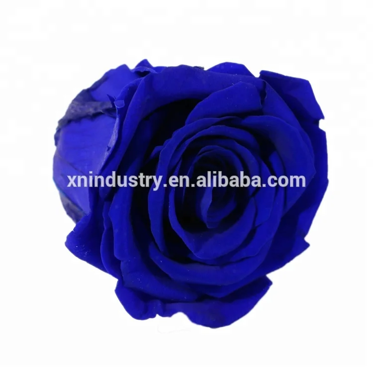 Top Quality preserved rose 4-5 cm blue Roses from Yunnan