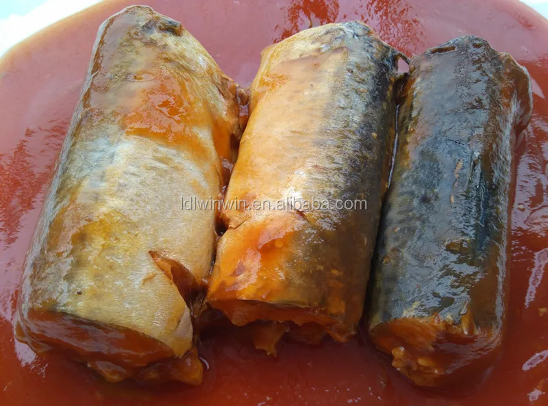 
425G CANNED SARDINE IN TOMATO SAUCE IN OVAL CAN FOR SOUTH AMERICA MARKET 