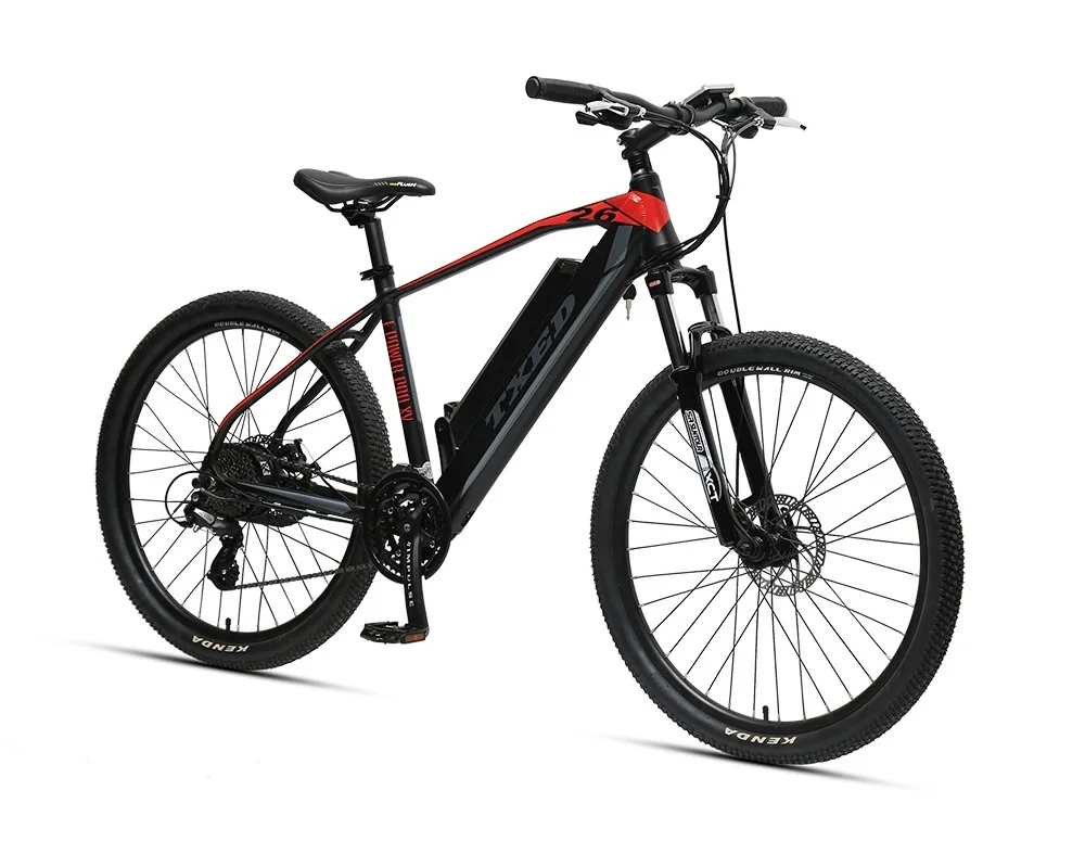 TXED Mountain Electric Bicycle With Good Price Rear Hub Motor mtb e bike
