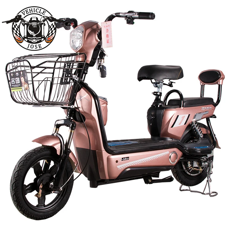 Factory direct electric bike with 48v12ah battery