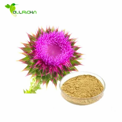 Natural Liver Protector Organic Silymarin Extract Powder with Best Price