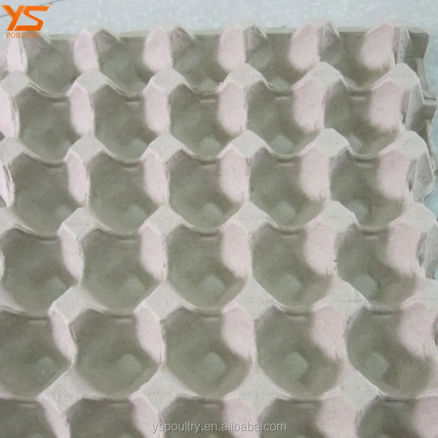 Eco-Friendly Paper Pulp Egg Trays
